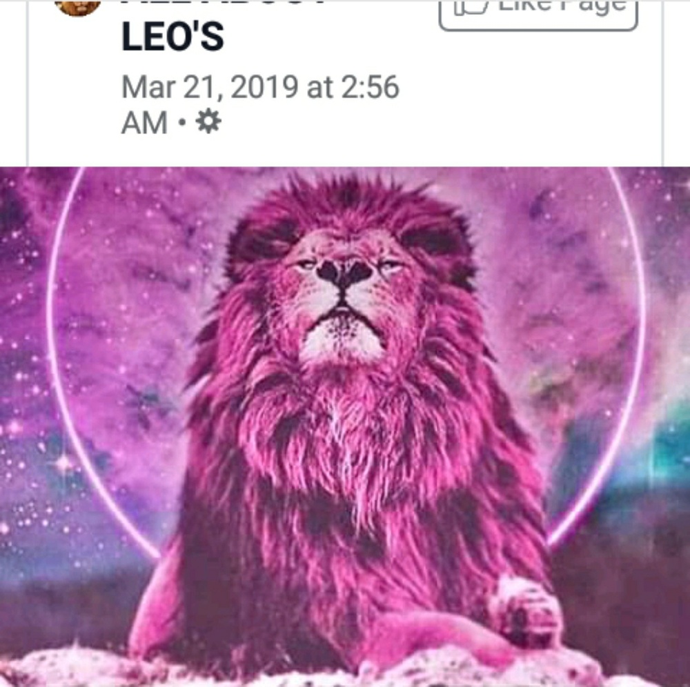 Meet your Posher, Tasha